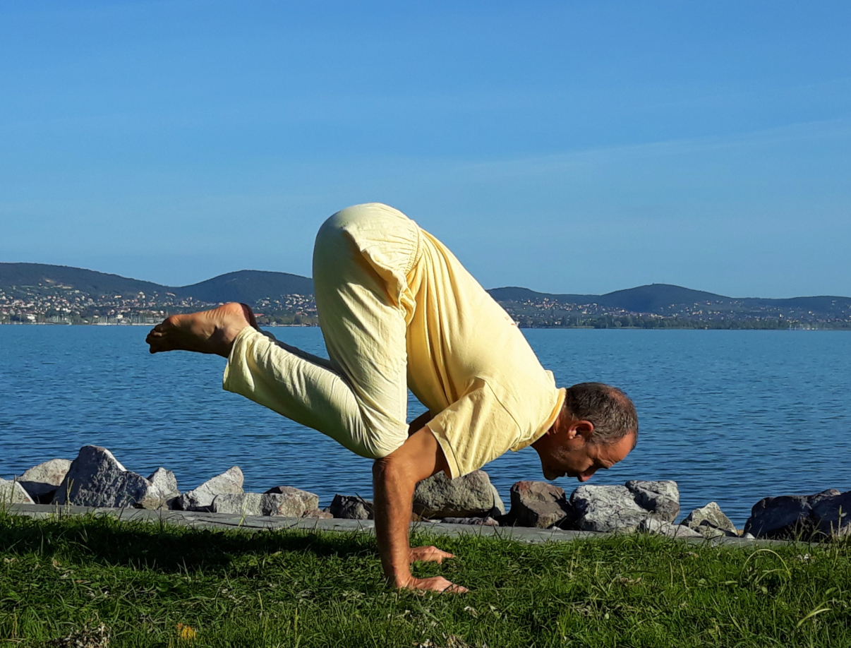 Bakasana Images : Man Performing An Eka Pada Bakasana Yoga Pose Stock Photo ... : 50+ vectors, stock photos & psd files.